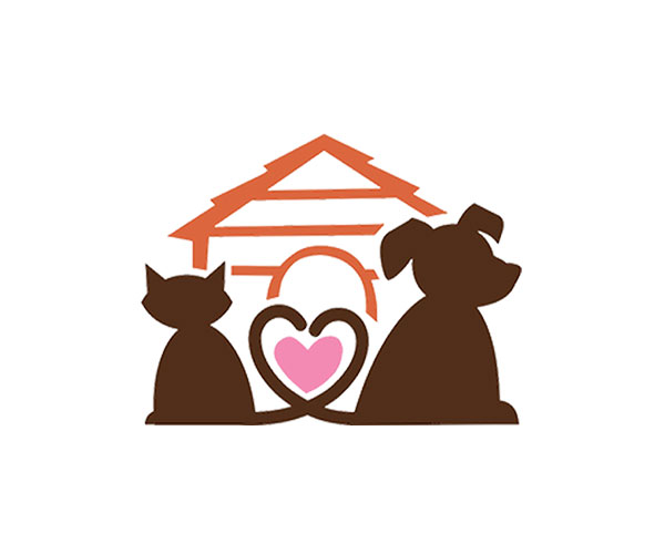 cat-pattes-compagnie-57