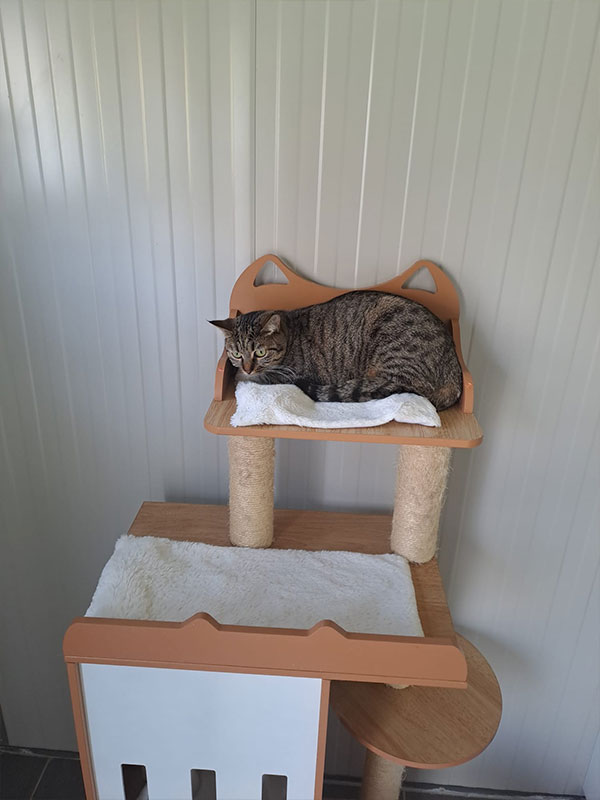 sejour en pension confortable